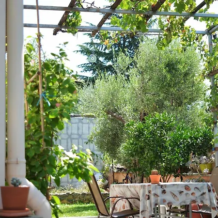 The Otherside House Pelion Daire *