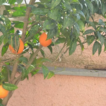 The Otherside House Pelion *